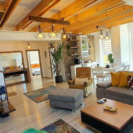 Hoobee Home & Rooftop Terrace Targu Mures Luaran gambar
