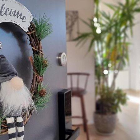 Hoobee Home & Rooftop Terrace Targu Mures Luaran gambar